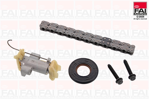 Timing Chain Kit
